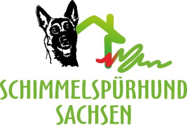 Schimmelspuerhund Sachsen mit Schäferhundkopf